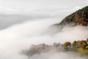Nebel am Wiedener Eck, Schwarzwald, Baden-Württemberg, Deutschland Nebel am Wiedener Eck, Schwarzwald, Baden-Württemberg, Deutschland